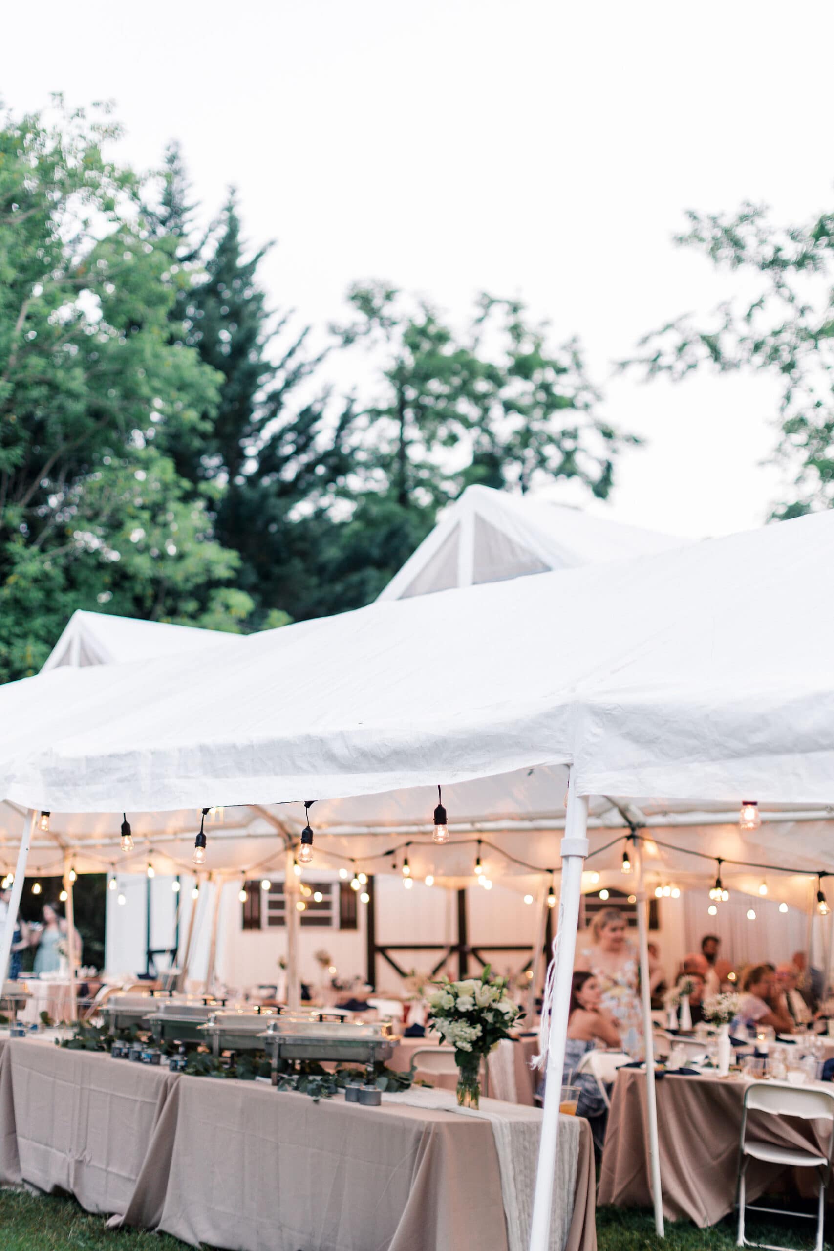 a backyard wedding reception in woodbine maryland