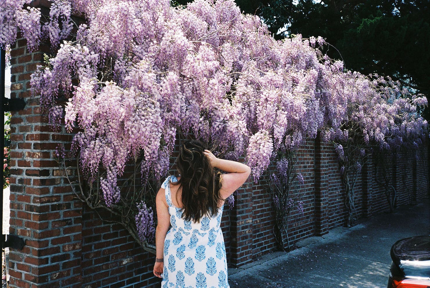 Beaufort North Carolina wedding photographer