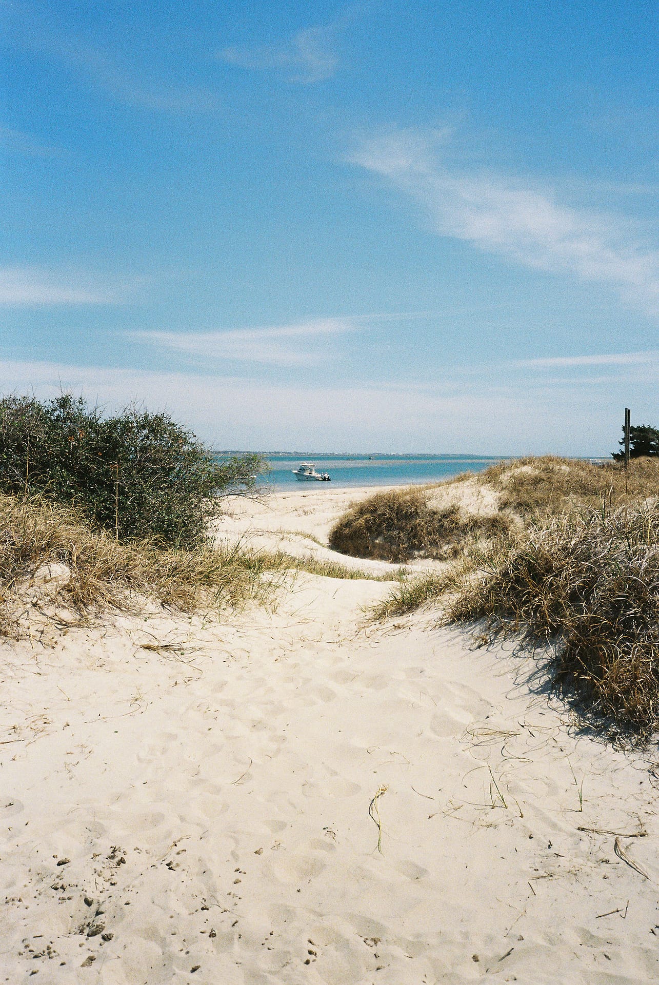 A poetic Earth Day tribute from the shores of the Crystal Coast. Explore film photography and reflections from Emerald Isle and Beaufort, NC.
