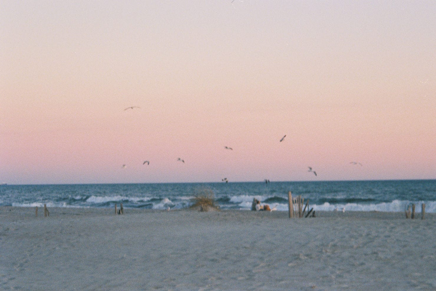 A pink sunset on 35mm film of Atlantic Beach, NC